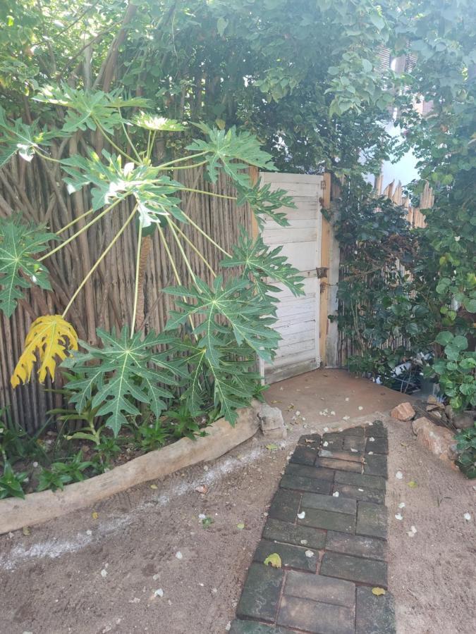 Casa Tonantzin Hotel Zipolite Kültér fotó